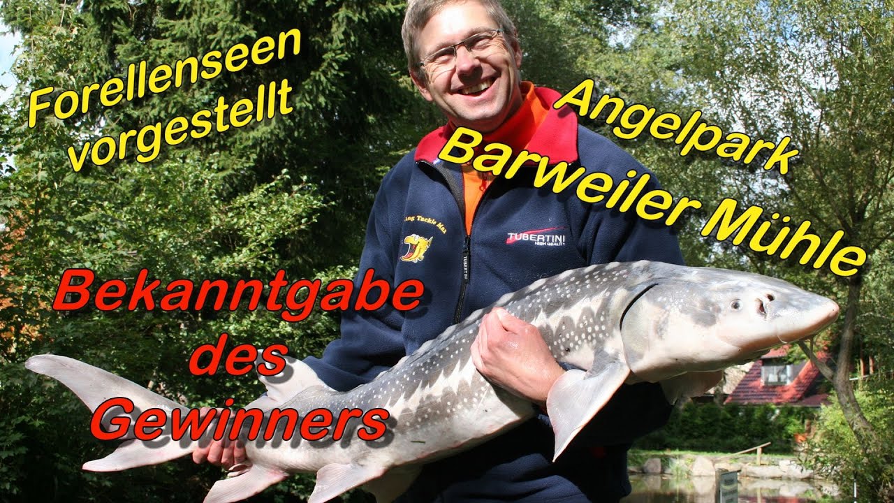 Forellenseen vorgestellt: Toniforellis Anglerparadies im