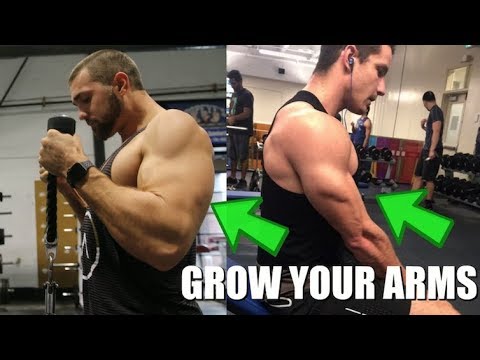 Complete Arm Workout Routine For An EXTREME PUMP!