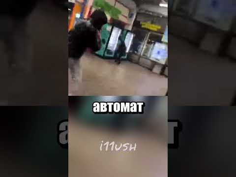 Добытчики шоколадок
