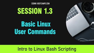 Bash Scripting: Session 1.3 - Basic User Commands