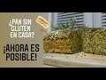 Hermoso Testimonio GLUTEN FREE (Hacer PAN SIN GLUTEN en casa es posible)