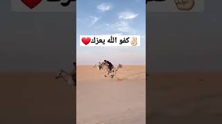 شاهد اقوى سباق خيول عربية اسرع خيل تشوفه عينك ماشاءالله ❤