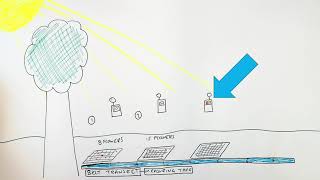 Celebrity GCSE Biology - Transects & Quadrats Profile
