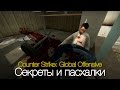Counter Strike: Global Offensive