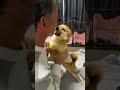 ふた〜ちゅ❤️