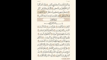 تلاوة سورة القمر من 50 إلى 55