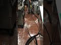 Commercial Kitchen Cleaning CFA 1