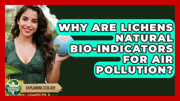 Why Are Lichens Natural Bio-indicators For Air Pollution? - Explaining Ecology