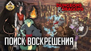 Мультшоу Великий освободитель RPGстрим The Station Слезы Мирабеллы Арка вторая Dungeons Dragons