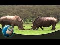 Kenya - Safari through the land of the rhinos