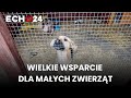 Wielkie wsparcie dla małych zwierząt