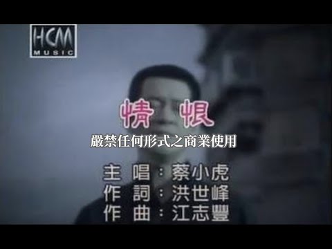 情恨 蔡小虎