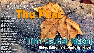 Chiếc Lá Thu Phai – Nhạc Sĩ Trịnh Công Sơn | Tình Ca Xưa Chọn Lọc Hay Nhất Vượt Thời Gian