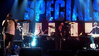 The Specials - Do Nothing (Live @ E-Werk, Cologne)