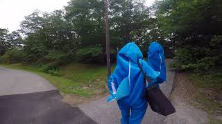 Shark Week with Shark Costumes