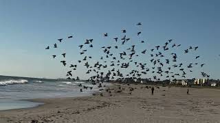 Cold Weather in Cocoa Beach Florida 