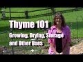 Thyme 101:  Growing, Drying, and Storing Thyme GOT BEES?