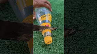 A Simple Idea That Works#diy #Crafts #ideas #howto #saadcrafts