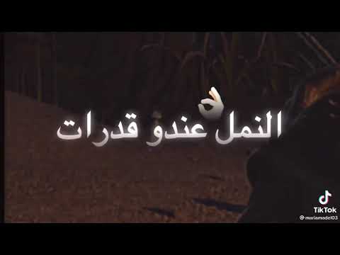 فعلا الراجل يفضل طول عمره راجل