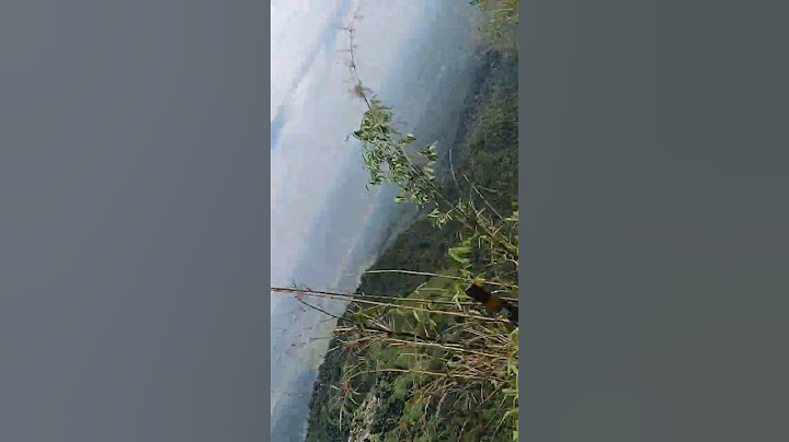 Darjeeling tour West Bengal #hindisong #bollywood #bollywoodsongs #love #song #westbengal #nature