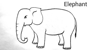 How to draw a Elephant | Elephant drawing easy | Simple elephant drawing