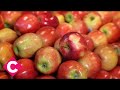 How to shop for store and prepare fresh apples