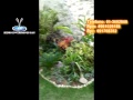 Cascadas de Agua, Cascadas Artificiales, Fuentes de agua, Piletas de Agua, Decoración de Jardines