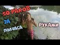 Как ловить раков руками, ловля раков, поймал 50 штук