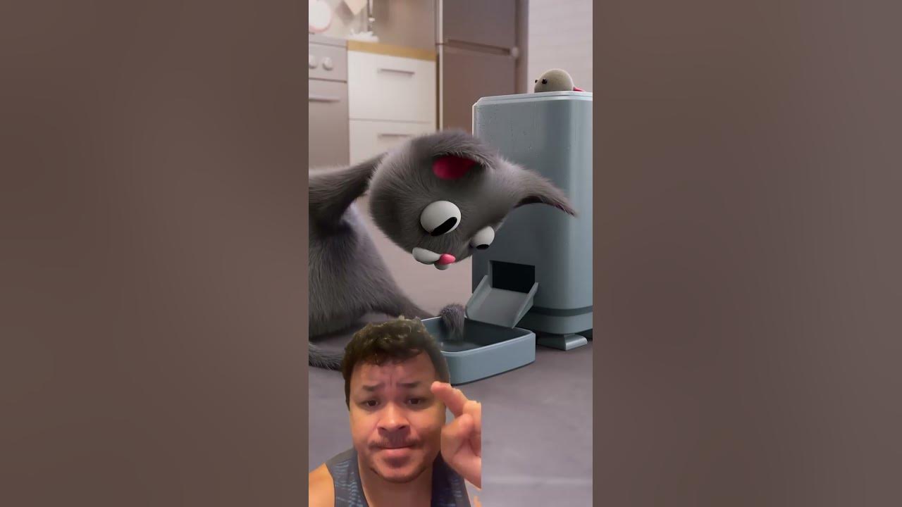 mostre o jogo do gato tom cat｜Pesquisa do TikTok