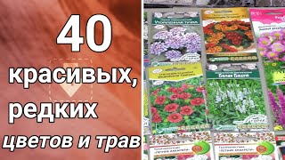 Редкие и популярные многолетние красивые цветы и травы. Обзор семян 2022