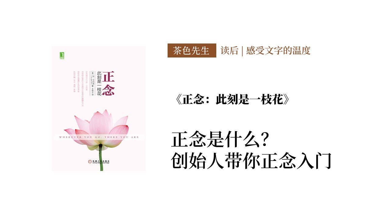 读后 正念是什么 创始人带你正念入门 正念 此刻是一枝花 Introduction To Mindfulness By Jon Kabat Zinn Youtube