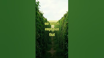 Unlocking Happiness: Positive Psychology