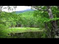 静かな湖水 蓼科:旅の音景色
