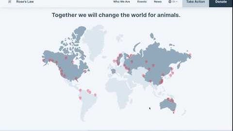 Mid-Fidelity Prototype