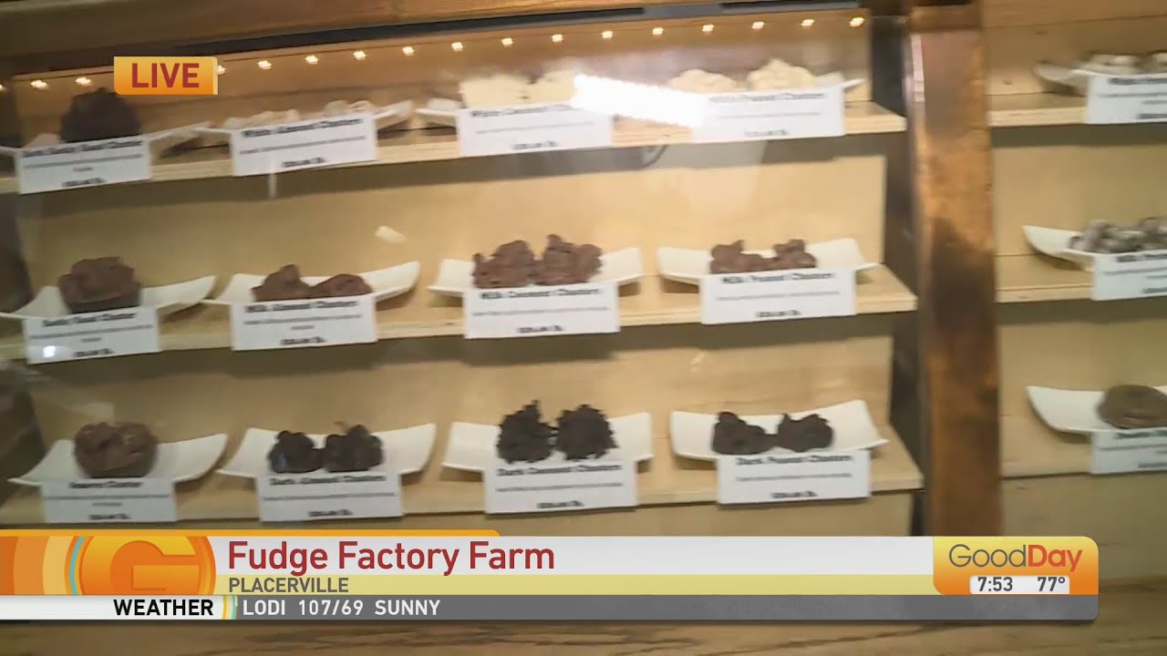 Fudge Factory Farm YouTube