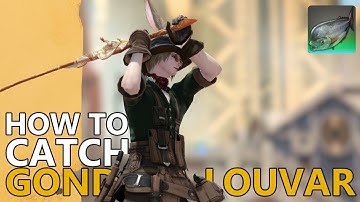 How to catch Gondola Louvar in FFXIV