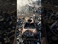 $200,000 Supercar Found in a Scrap Yard 😱 Unbelievable Transformation #supercar #luxurycars #shorts