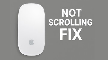 How to Fix Magic Mouse Scrolling Not Working on Mac OS