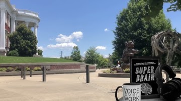 Super Brain audiobook: Strategies to Upgrade Your Brain and Achieve Anything By: Peter Hollins