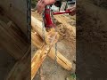 Cracked wood press jack #shorts
