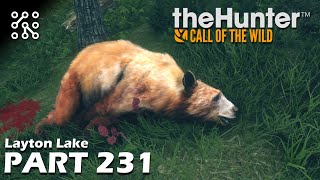 Noční lov medvědů - #231 | The Hunter: Call of the wild CZ | Lets play | Česky