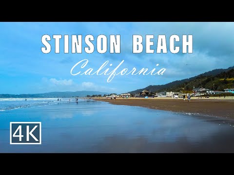 Video: Stinson Beach: ketishdan oldin bilishingiz kerak bo'lgan narsalar