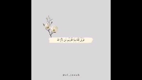 تلاوه تشرح الصدر ..ماهر المعيقلي