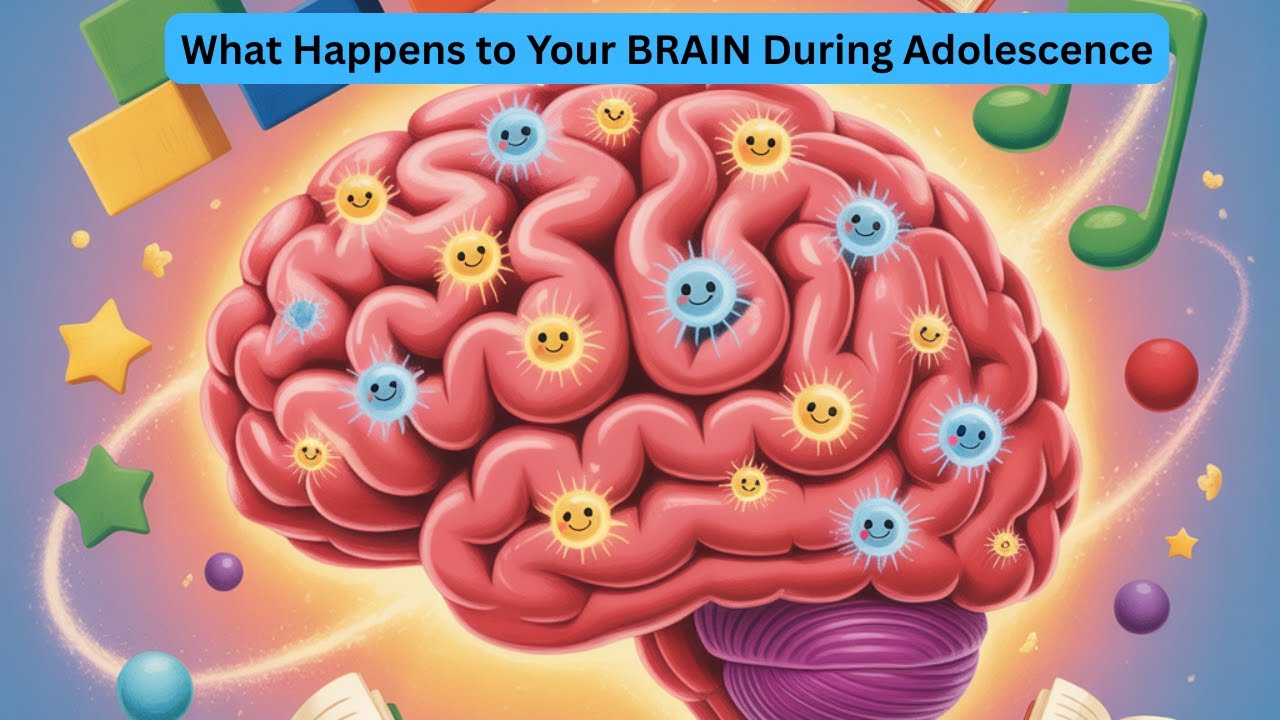 What Happen to Your Brain during Adolescence - YouTube