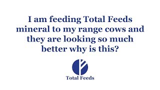 Why do my cows look better on Total Feeds minerals?