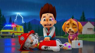 ¡Nooo...Marshall está herido! - Skye llora desconsolada - PAw PaTrol en Español - Rainbow 3