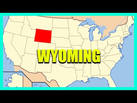 Video: Perché incorporare nel Wyoming?