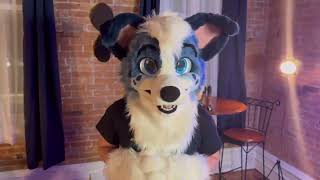 First Fursuit Video