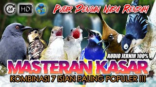 Download Lagu #15 MASTERAN HANDAL FULL TEMBAKAN UNTUK BURUNG FIGHTER | AUDIO JERNIH 24 JAM NONSTOP MP3 Download Lagu #15 MASTERAN HANDAL FULL TEMBAKAN UNTUK BURUNG FIGHTER | AUDIO JERNIH 24 JAM NONSTOP MP3