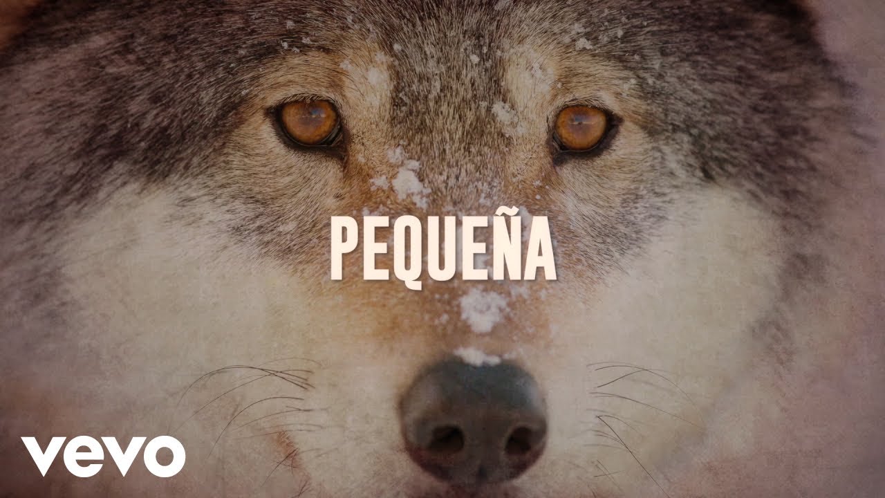 Los Temerarios - Pequeña (LETRA) Los Temerarios - Pequeña (LETRA)